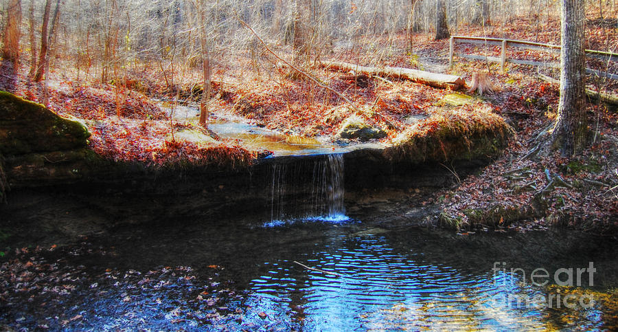 Pickle Springs Natural Springs Photograph by Peggy Franz