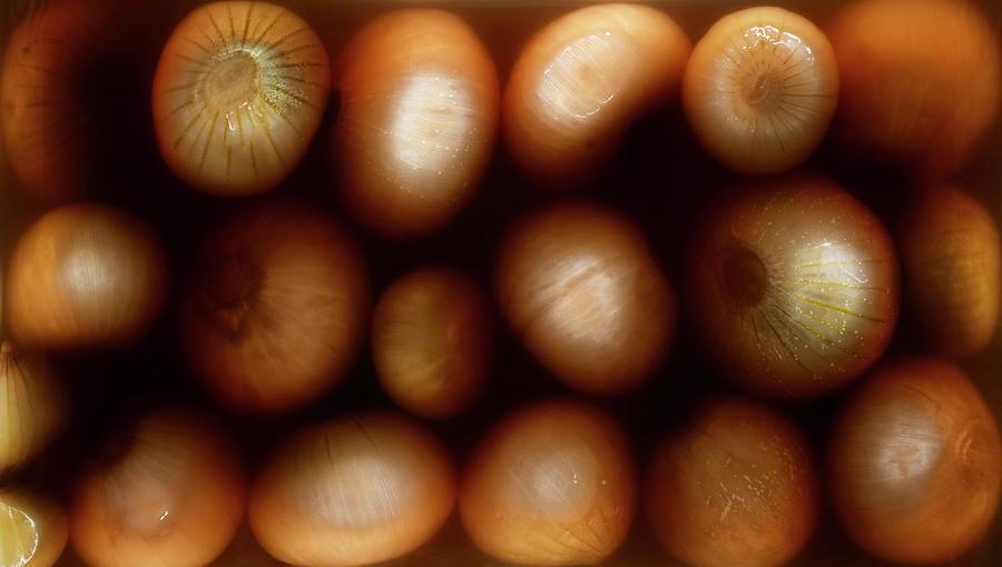 Pickled Onions Photograph by Patrick Llewelyn-davies/science Photo Library