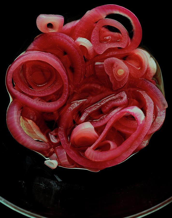 Pickled Red Onions Photograph by Romulo Yanes
