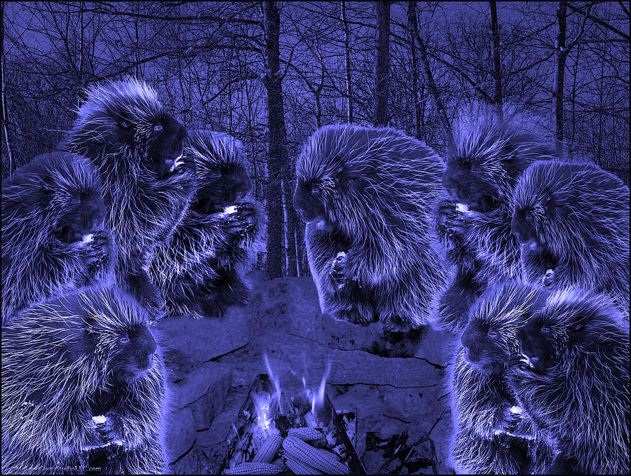 Animal Photograph - Picky Eaters in the blue moonlight by LeeAnn McLaneGoetz McLaneGoetzStudioLLCcom