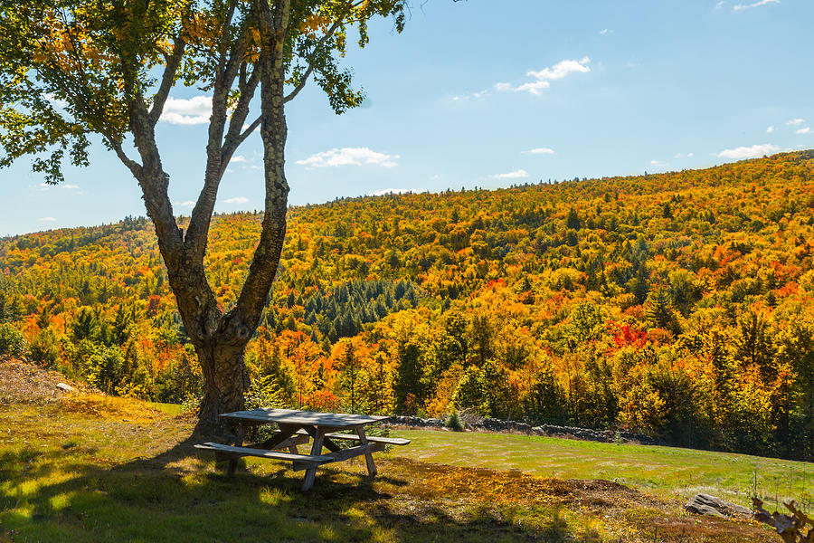Picnic and Beautiful Fall Foliage Photograph by Vance Bell