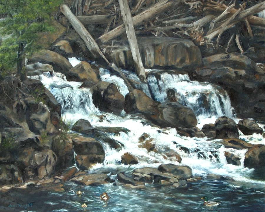 Picnic at the Falls Painting by Lori Brackett