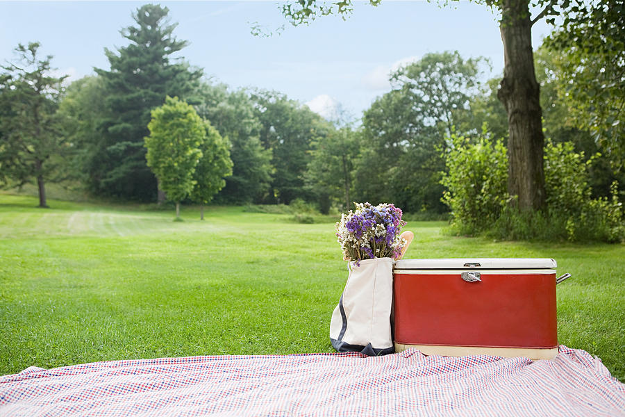 Picnic in the park Photograph by Image Source