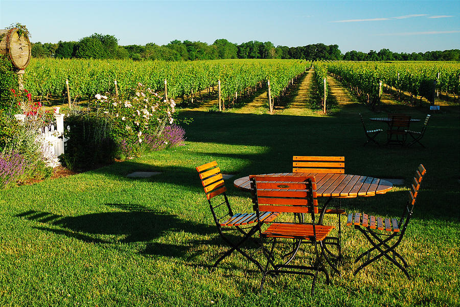 Picnic in the Vineyard Photograph by James Kirkikis