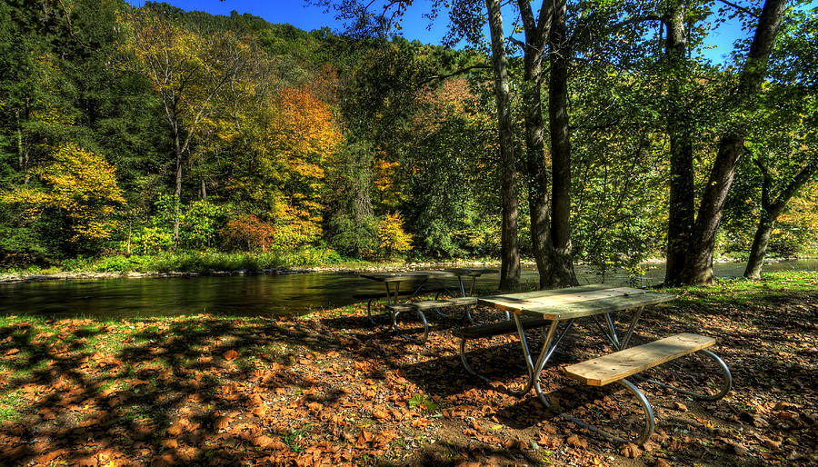 Picnic on the River Photograph by David Dufresne