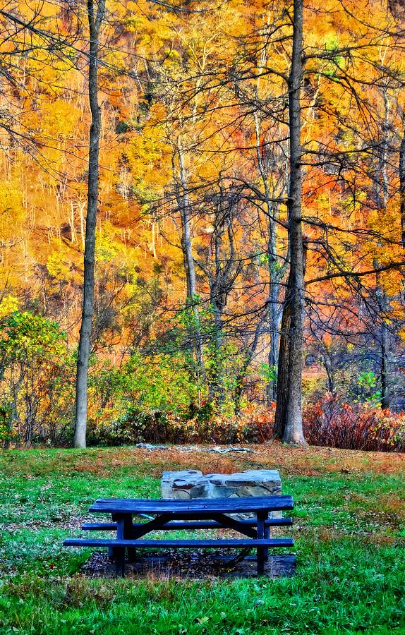 Picnic Table In Autumn Photograph by Dan Sproul