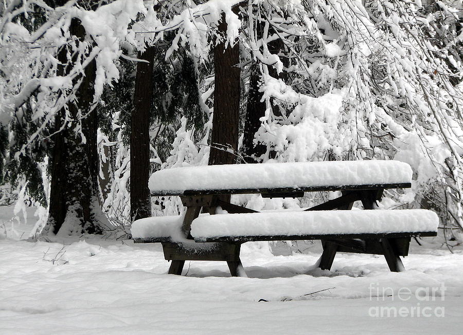 Winter Photograph - Picnic Table in the Snow by Rose Santuci-Sofranko