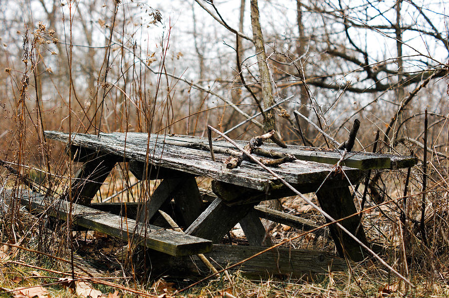 Picnic Table Photograph by Off The Beaten Path Photography - Andrew Alexander