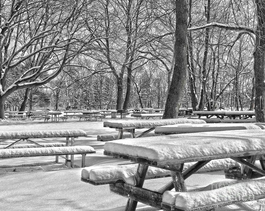 Picnic Tables In The Snow Photograph By Tom Gari Gallery-Three ...