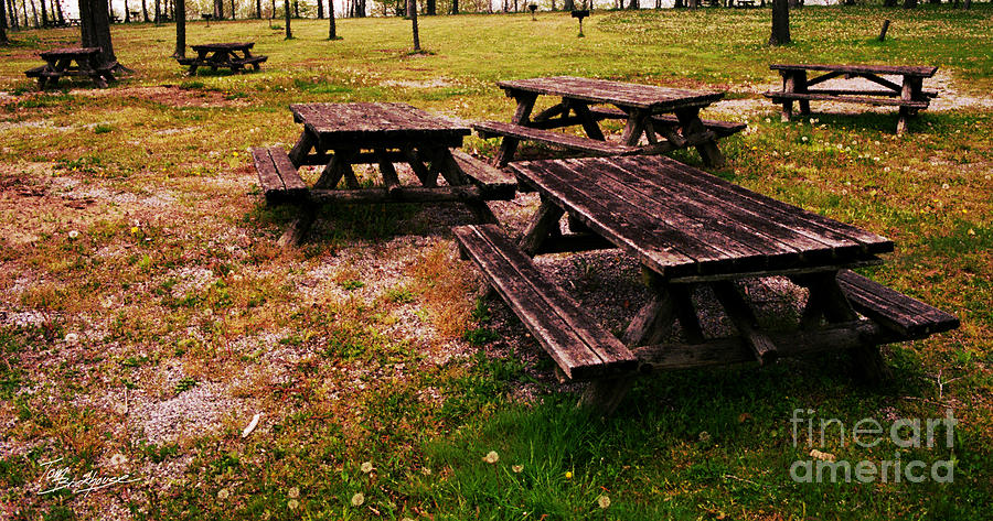 Picnic Tables Photograph by Tom Brickhouse