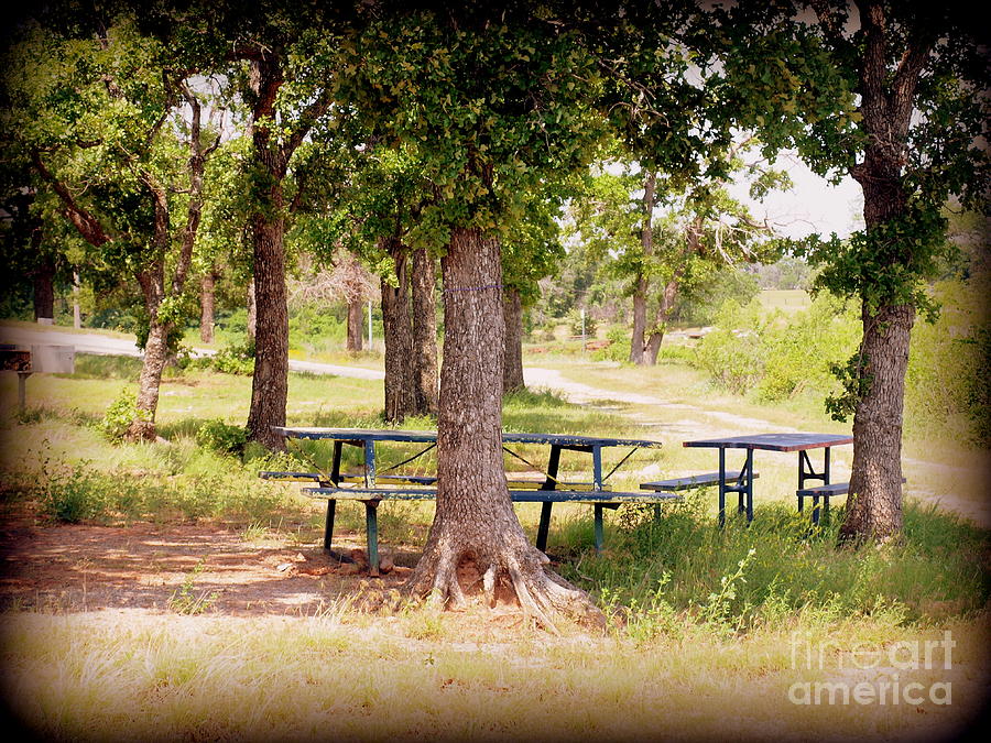 Picnic Tables Photograph by Mickey Harkins Fine Art America