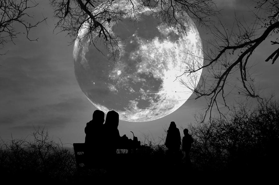 Picnic Under The Moon Photograph By Mike Marsden