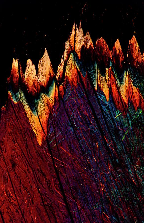 Picric Acid Crystals Photograph by Stephen A. Skirius/science Photo Library