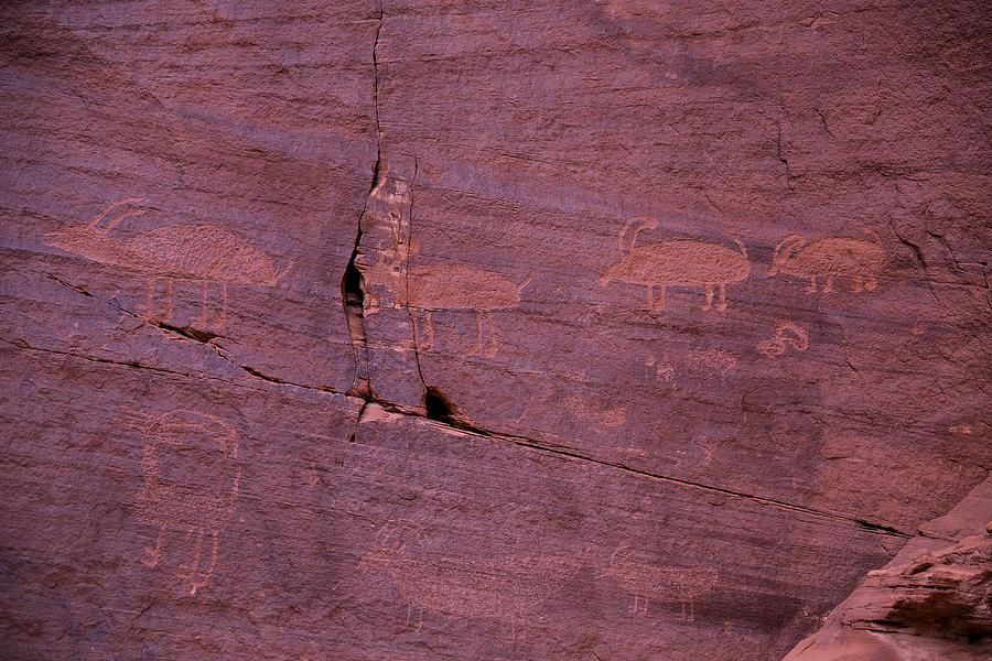 Pictograph Cave Art Photograph by Garry Gay