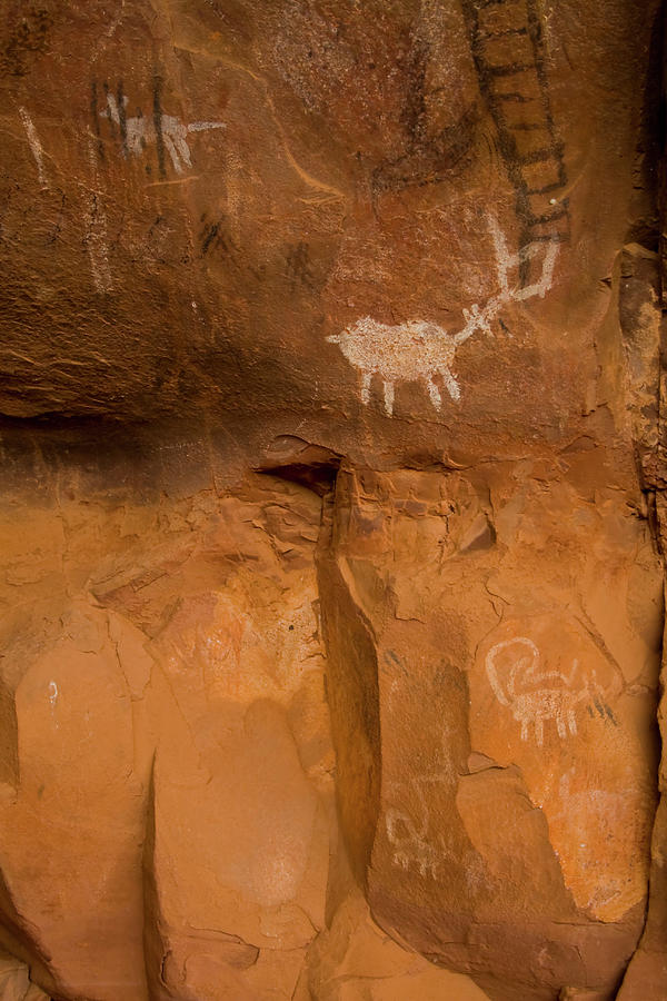 Pictographs Photograph by Tom Singleton