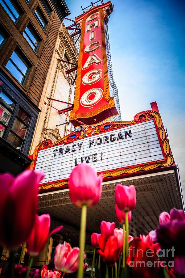 Tracy Morgan Photograph - Pictue of Chicago Theatre Sign with Tracy Morgan by Paul Velgos
