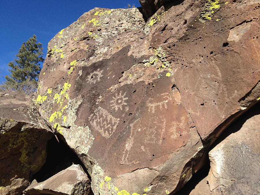 Animal Photograph - Picture Canyon Petroglyphs  Flagstaff Arizona by Julie Smith
