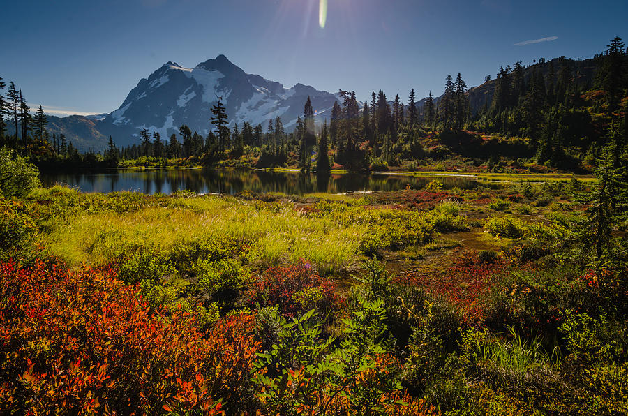 Picture Lake Basin Photograph by Puget Exposure - Fine Art America