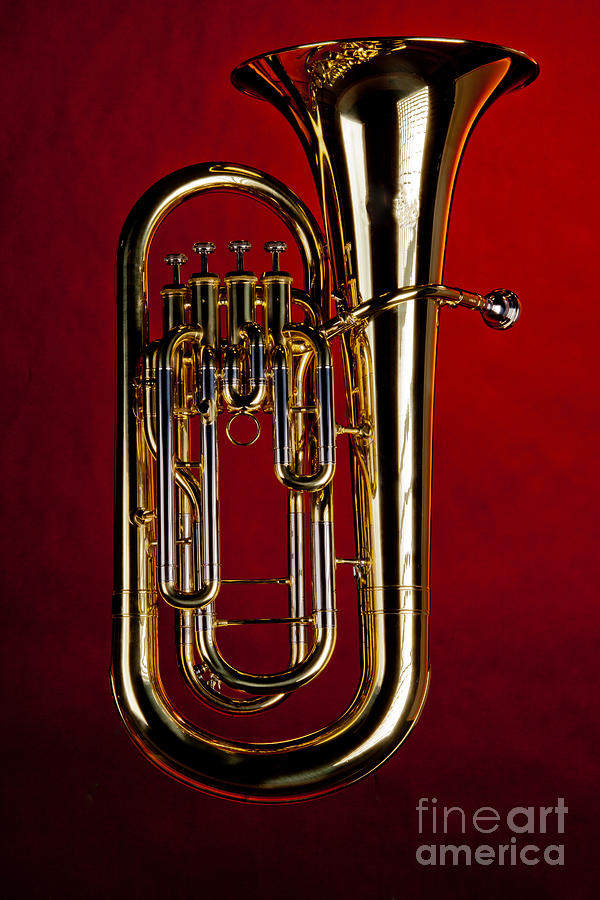 Picture of Bass Tuba Brass Instrument in Color 3394.02 Photograph by M K Miller