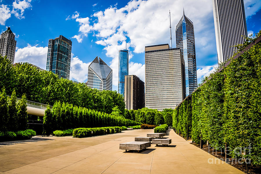 Picture Of Chicago Skyline With Millennium Park Trees Photograph