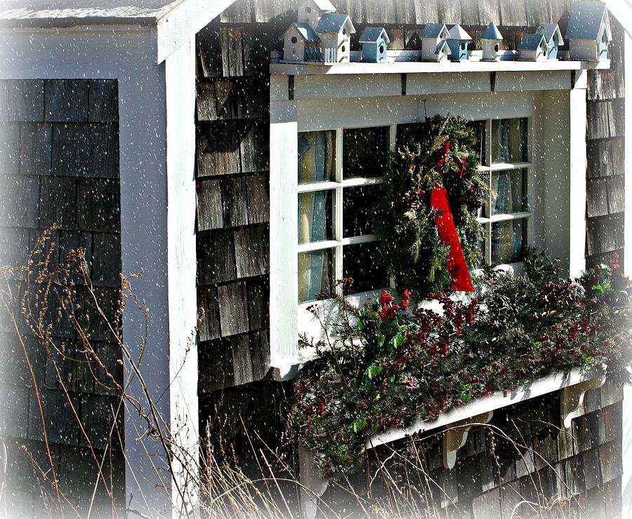 Brush Photograph - Picture Perfect In Portsmouth NH by Barbara S Nickerson