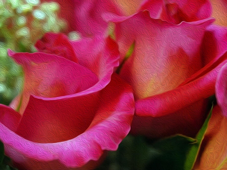 Rose Digital Art - Picture Perfect by Teri Schuster