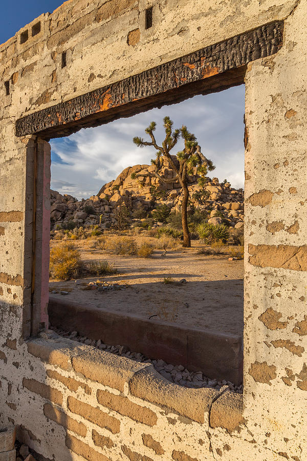Joshua Tree National Park Photograph - Picture Window by Peter Tellone