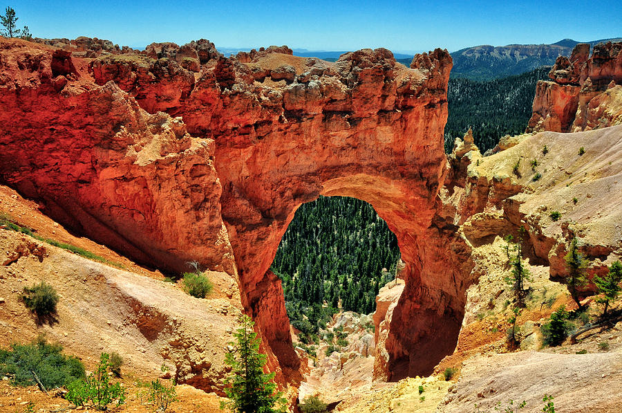 Picture Window at Natural Bridge - Bryce Canyon National Park - Utah Photograph by Bruce Friedman