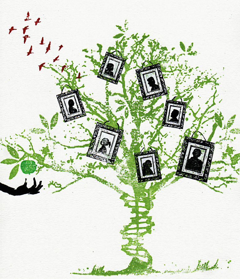 Pictures On Family Tree Photograph by Ikon Ikon Images