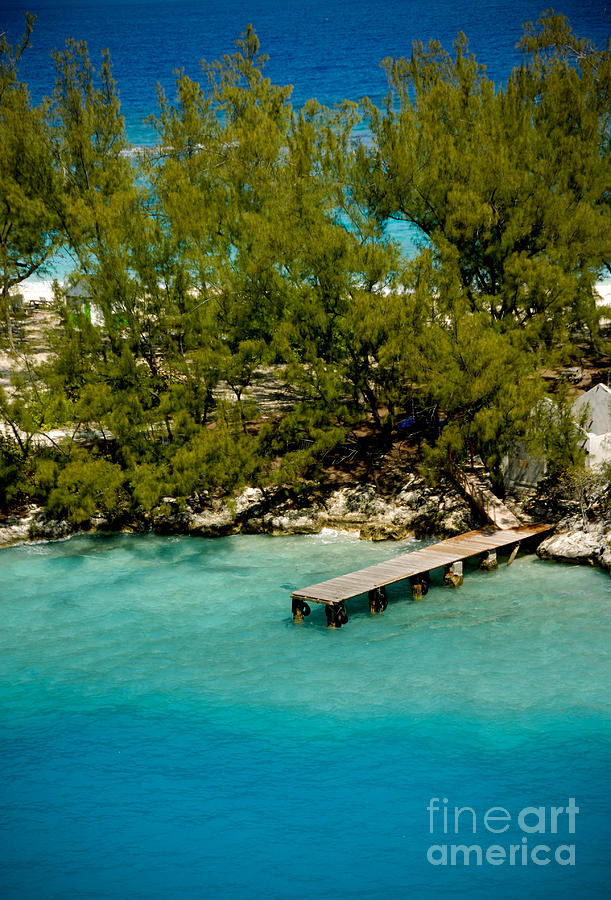 Tree Photograph - Picturesque Dock Nassau Bahamas by Amy Cicconi