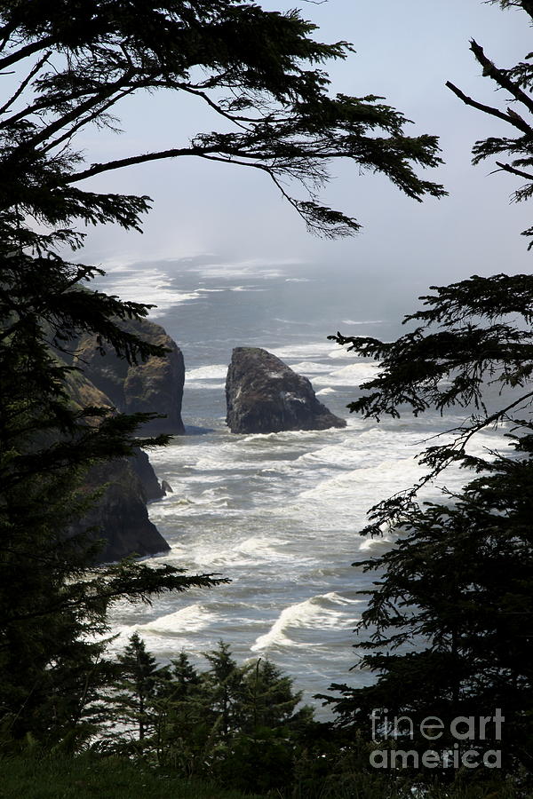 Picturesque Oregon Coast Photograph by Christiane Schulze Art And Photography