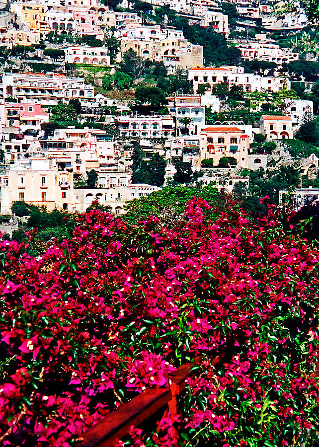 Picturesque Positano Photograph by Donna Proctor