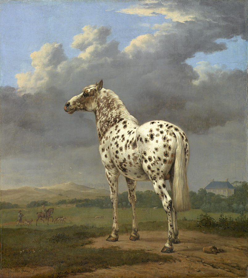 Piebald Horse, 17th Century Painting by Getty Research Institute