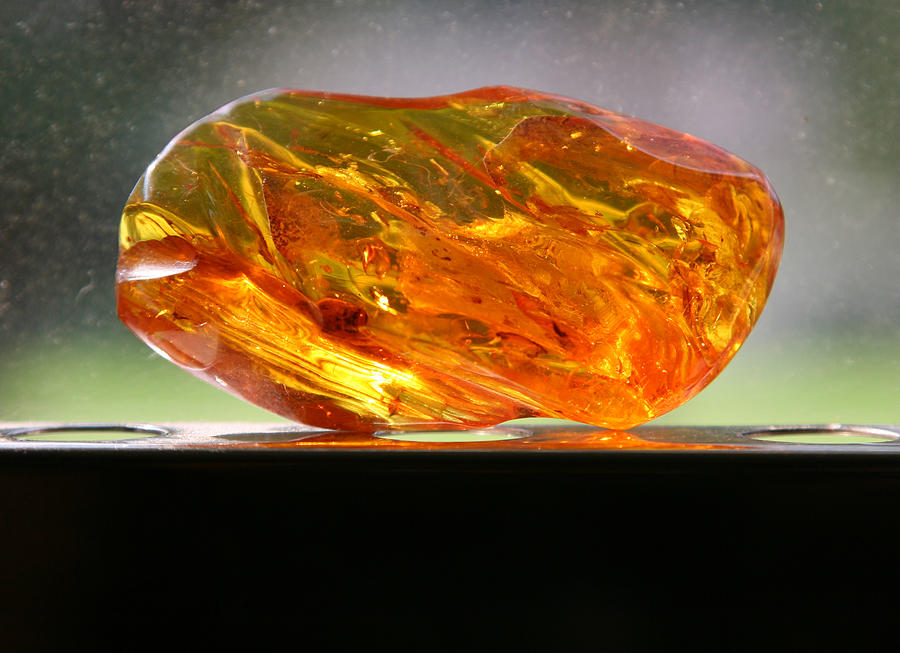 Piece of amber Photograph by Switas