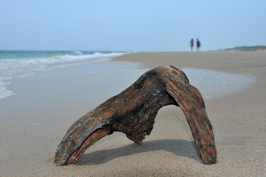 Paradise Photograph - Piece of drifted wood on the sand and blue ocean with couple on horizon by Anton Oparin