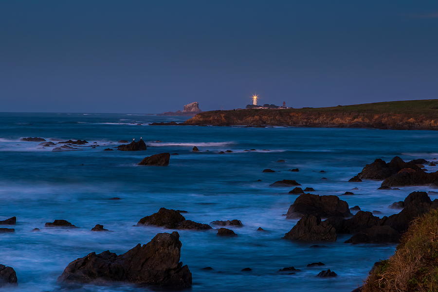 Piedras Blancas Lighthouse  Photograph by Duncan Selby