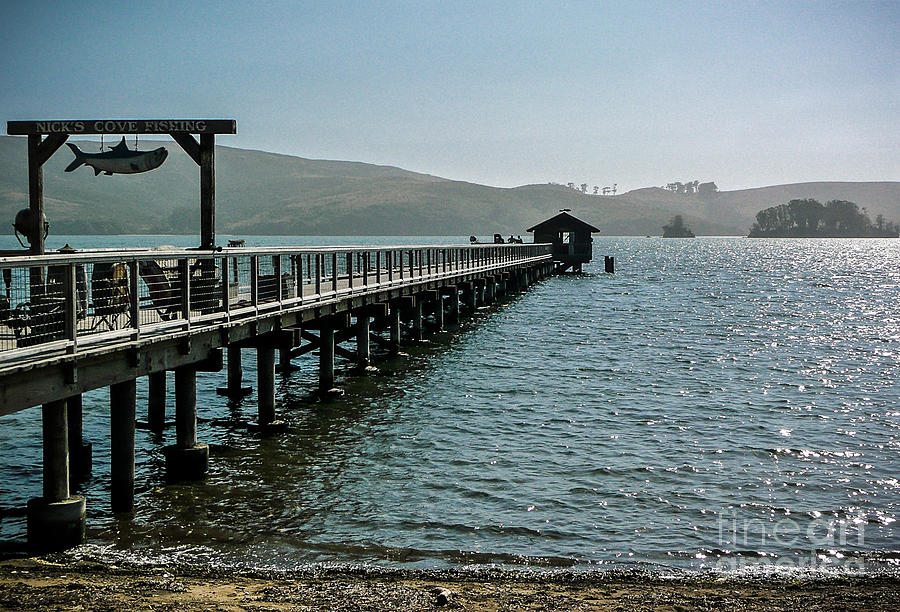 Pier at Nicks Cove Photograph by Amy Fearn