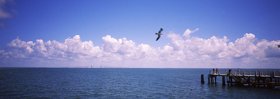 Nature Photograph - Pier Over The Sea, Fort De Soto Park by Panoramic Images