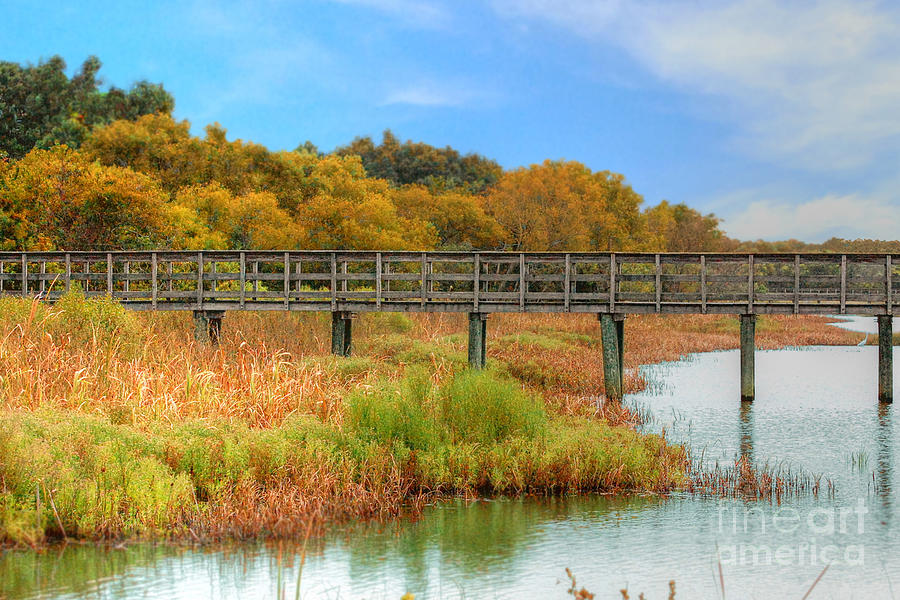 Pier Through The Wetlands In Fall Photograph by Kathy Baccari
