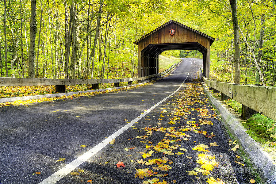 Pierce Stocking Scenic Drive in Fall Photograph by Twenty Two North