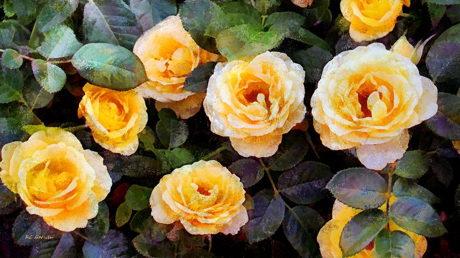 Pierres Peach Roses Painting by RC DeWinter