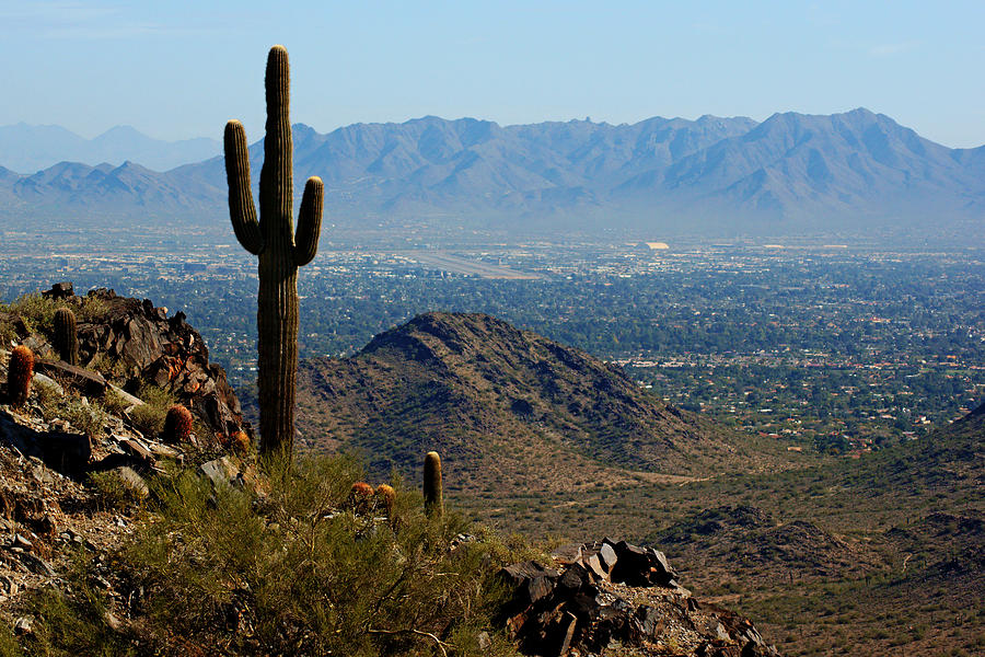 Piestewa Peak Cactus View Photograph by Daniel Woodrum