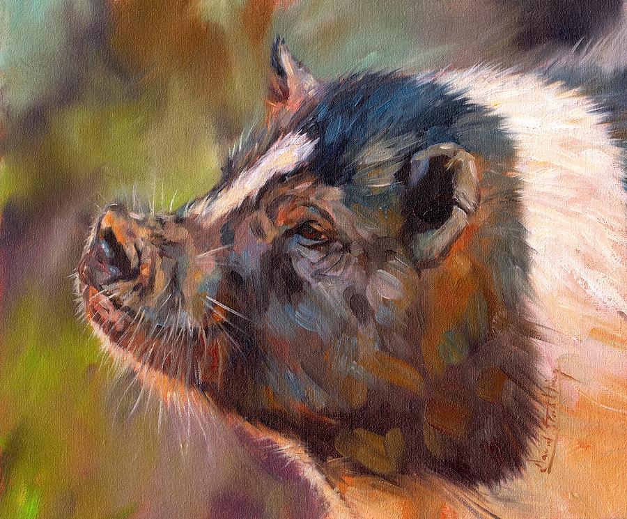 Animal Painting - Pig by David Stribbling