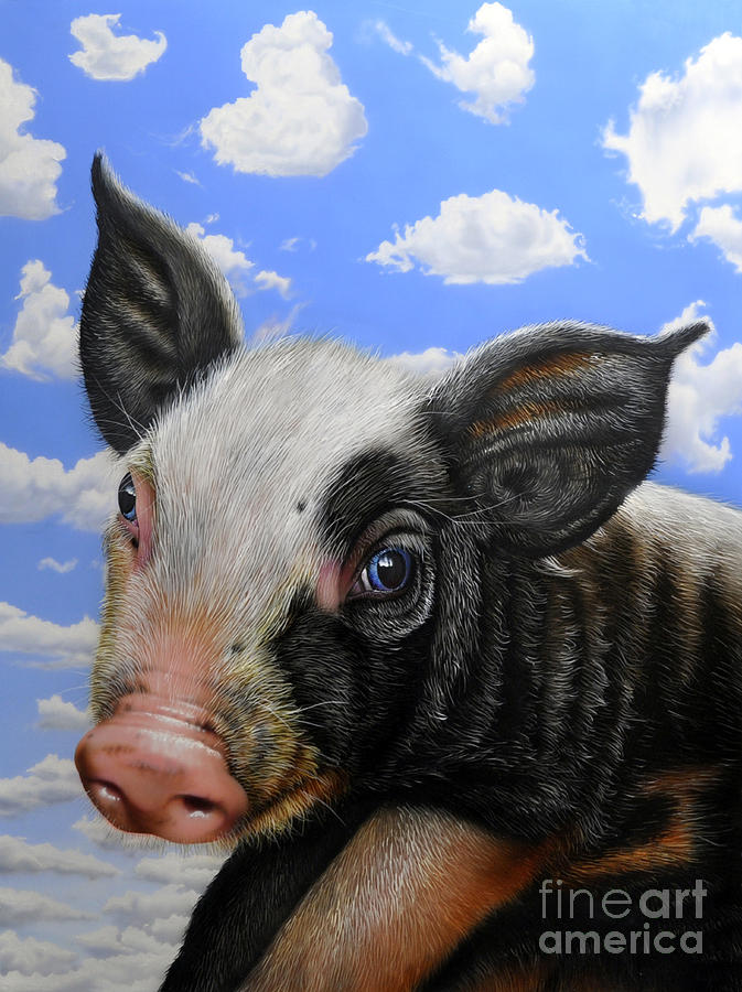 Pig in the Sky Painting by Jurek Zamoyski