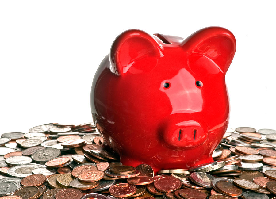 Pig money and savings Photograph by Marek Poplawski
