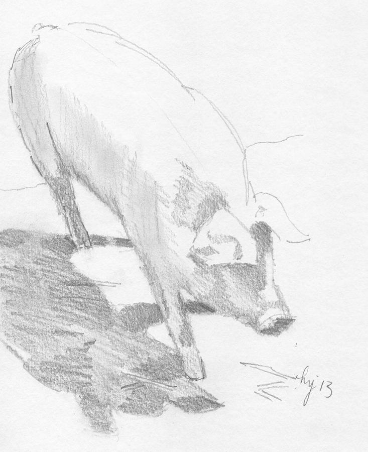 Pig Sketch Drawing by Mike Jory