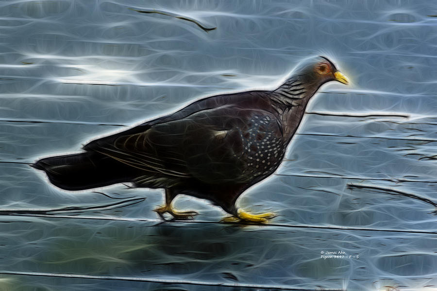 Pigeon 3497 - F - S Digital Art by James Ahn