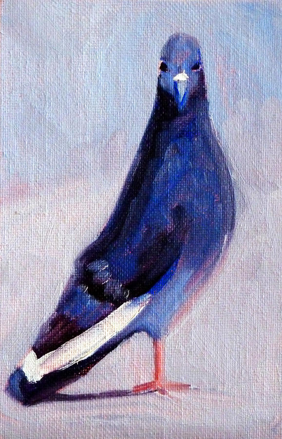 Pigeon Bird Portrait Painting Painting by Nancy Merkle