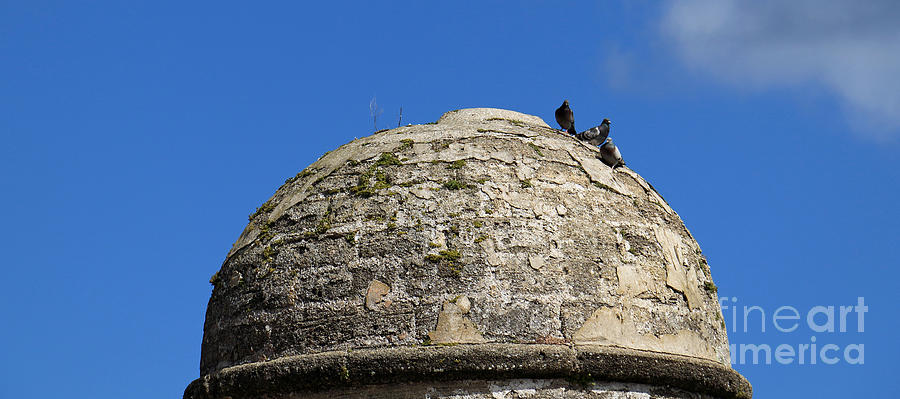 Pigeon Dome Photograph by Mary Haber