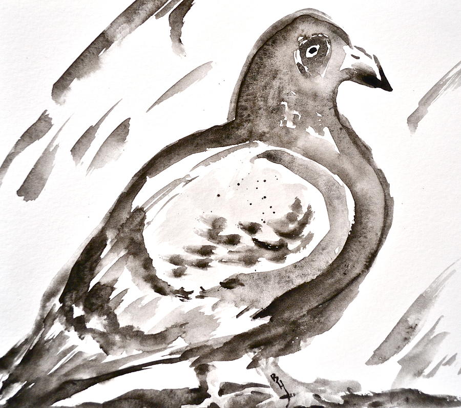 Pigeon I Sumi-e Style Painting by Beverley Harper Tinsley